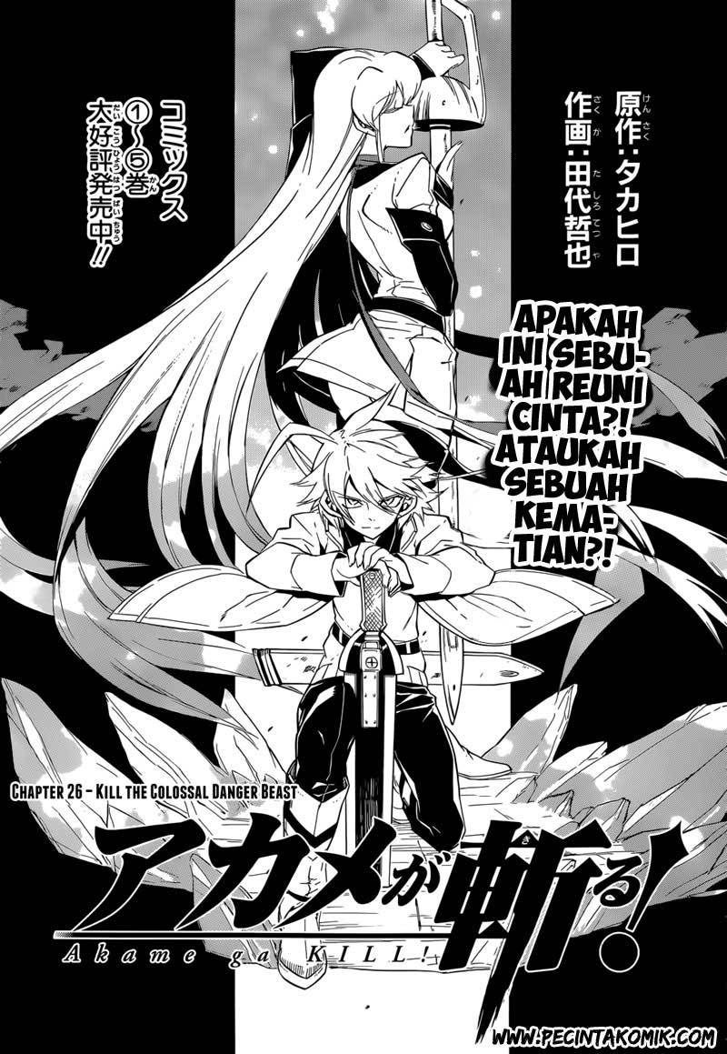 Akame ga KILL! Chapter 26