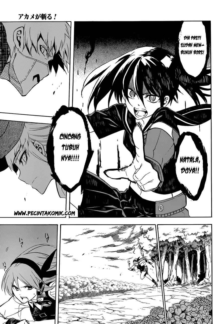 Akame ga KILL! Chapter 34