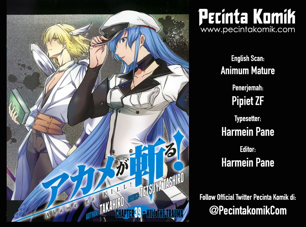 Akame ga KILL! Chapter 41