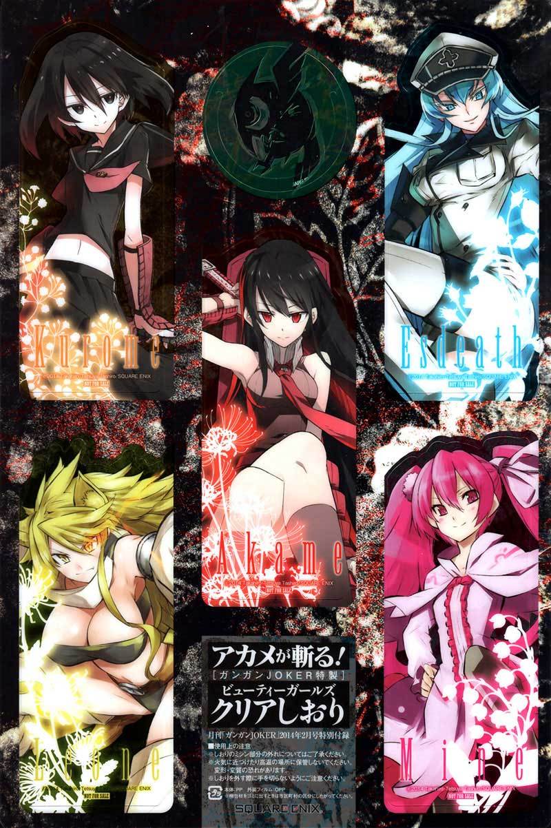 Akame ga KILL! Chapter 47