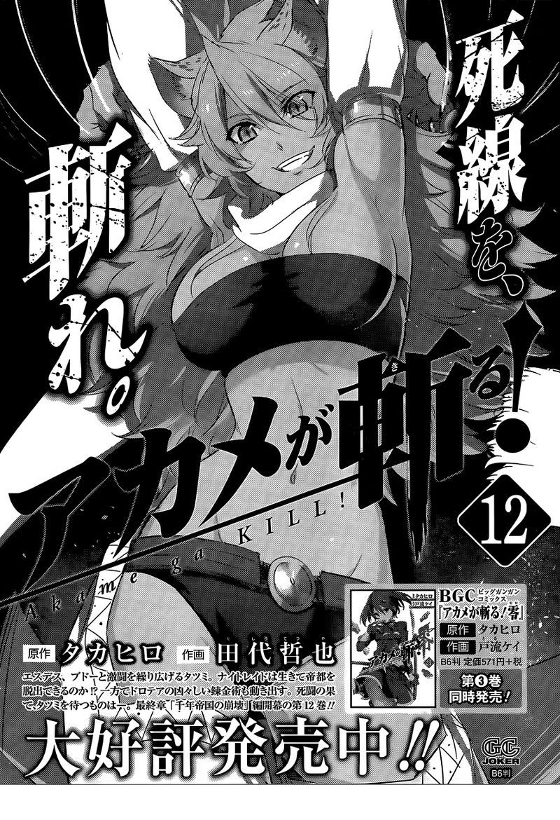 Akame ga KILL! Chapter 62