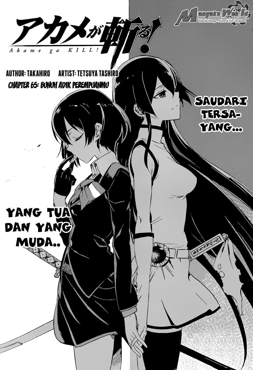 Akame ga KILL! Chapter 65