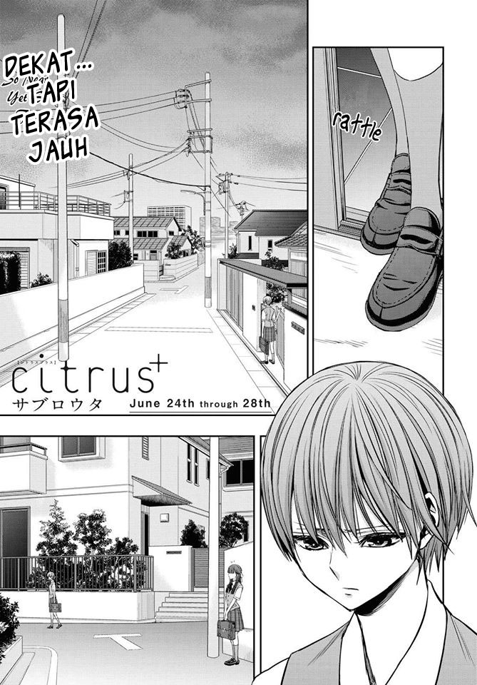 Citrus Plus Chapter 12