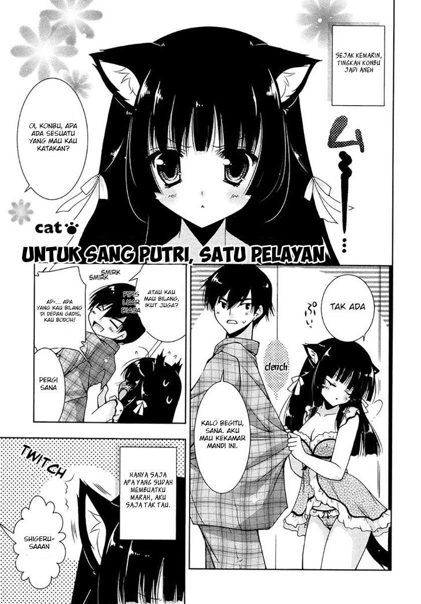 Nyatto! Chapter 7