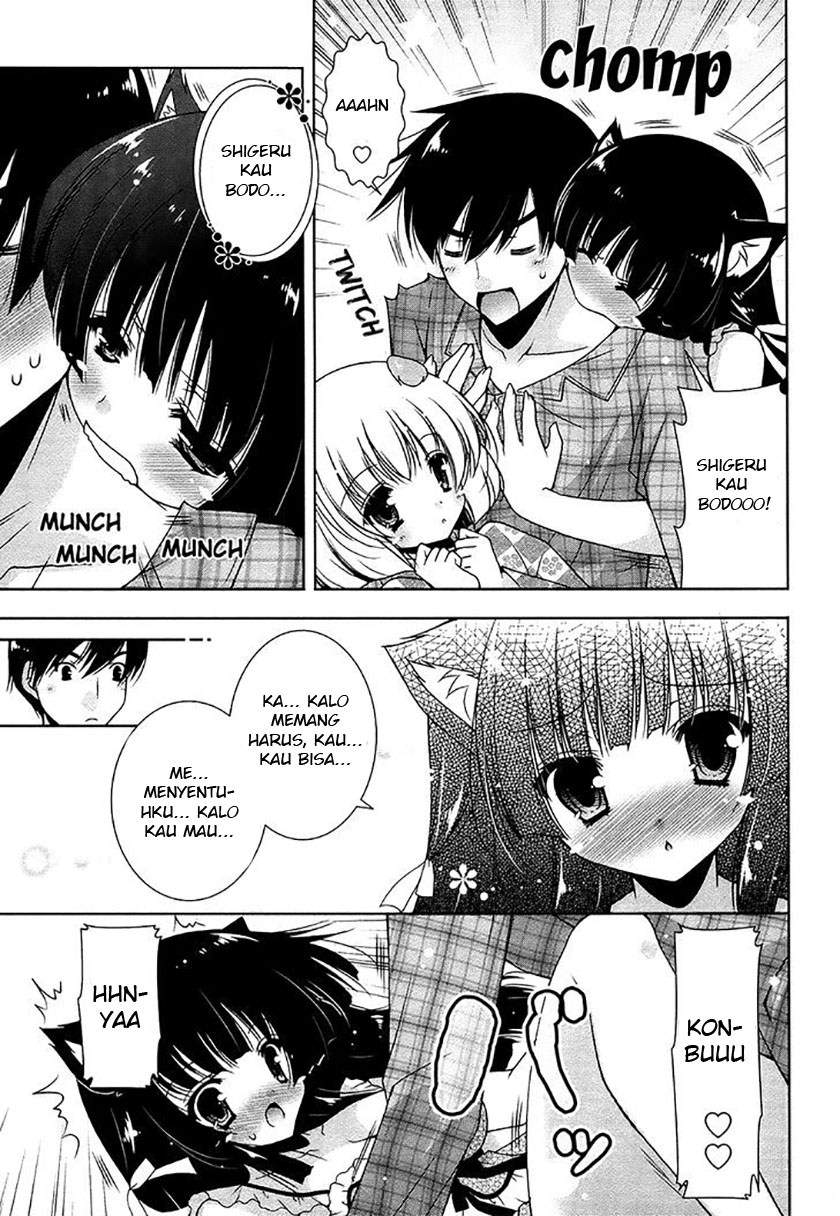 Nyatto! Chapter 7