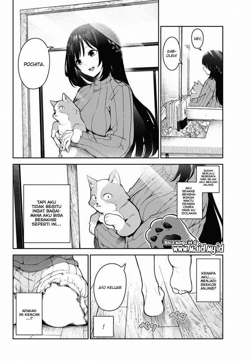 Inu ni nattara suki na hito ni hirowareta Chapter 2