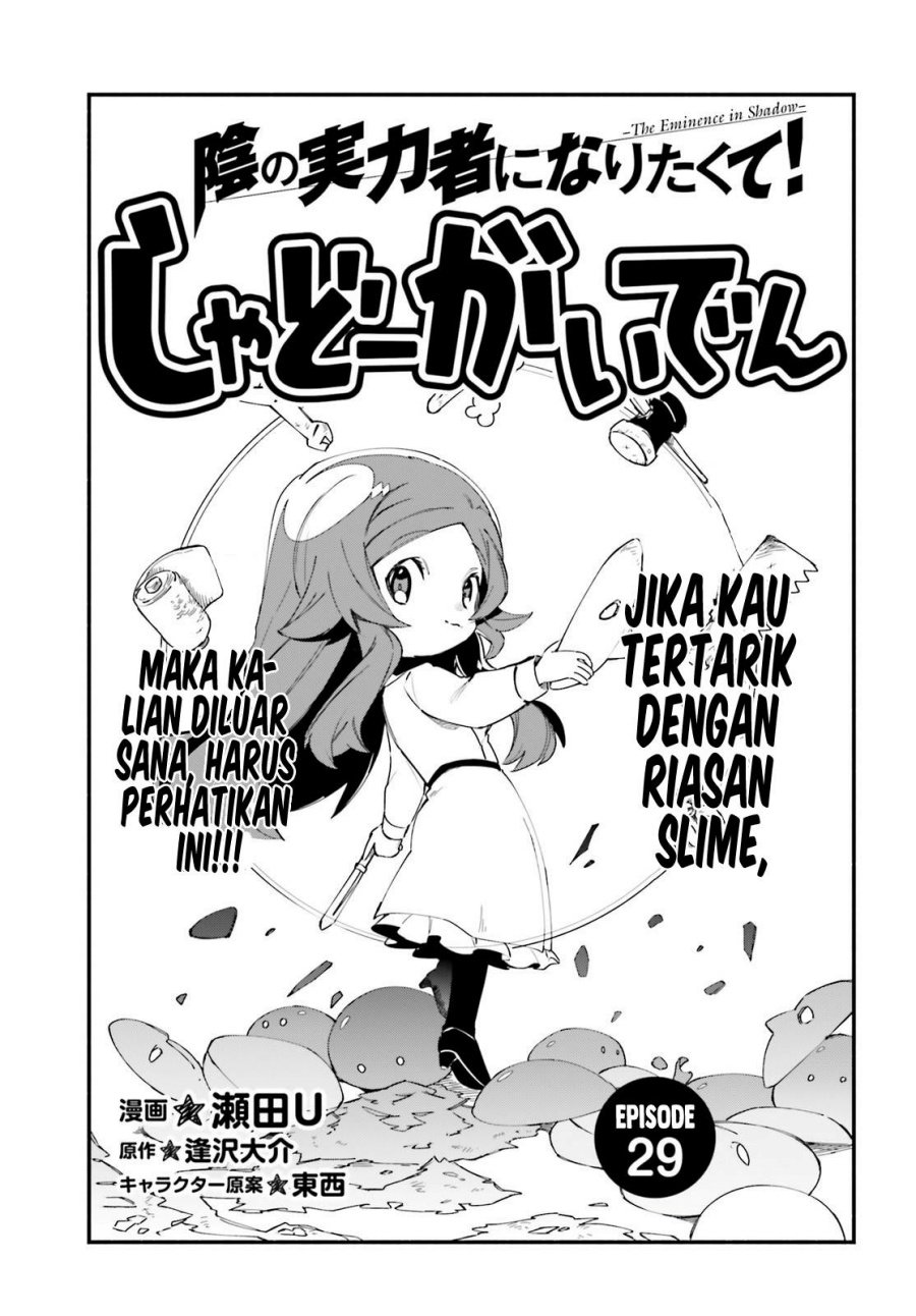 Kage no Jitsuryokusha ni Naritakute! Shadow Gaiden Chapter 29