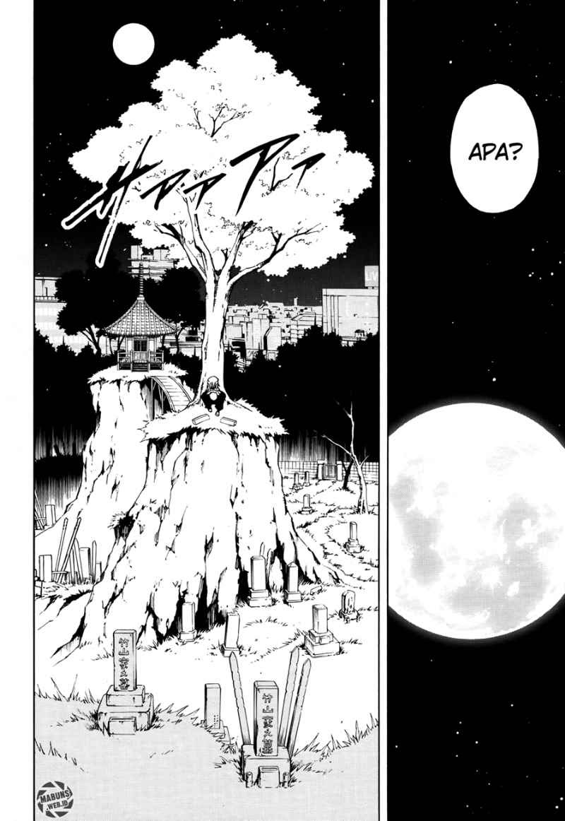 Shaman King Flowers Chapter 12