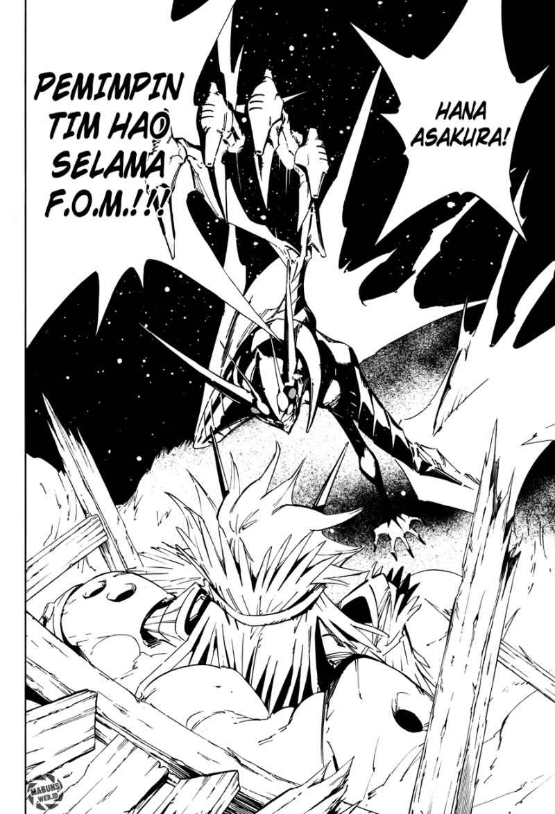 Shaman King Flowers Chapter 14