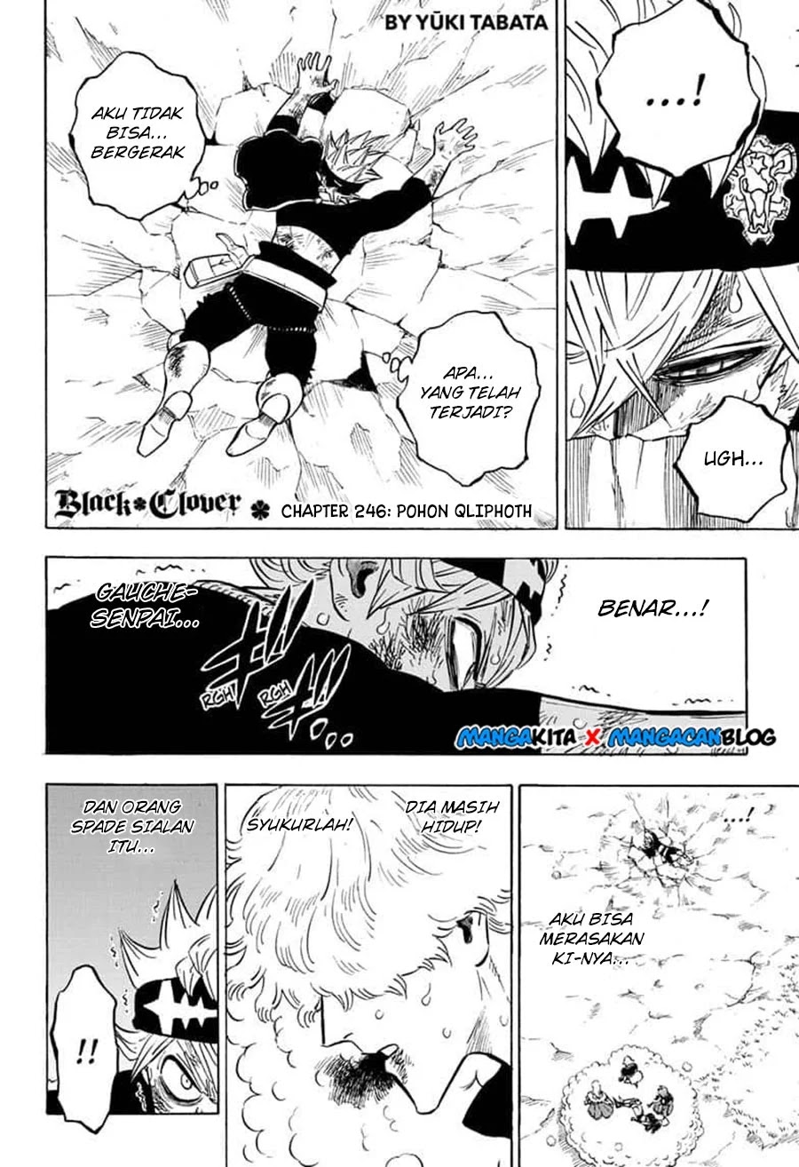 Black Clover Chapter 247