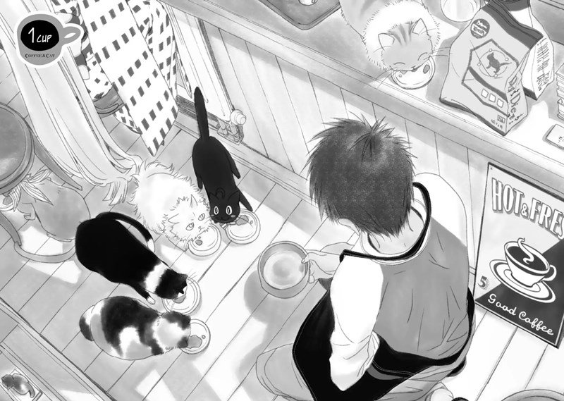 Coffee &amp; Cat Chapter 1