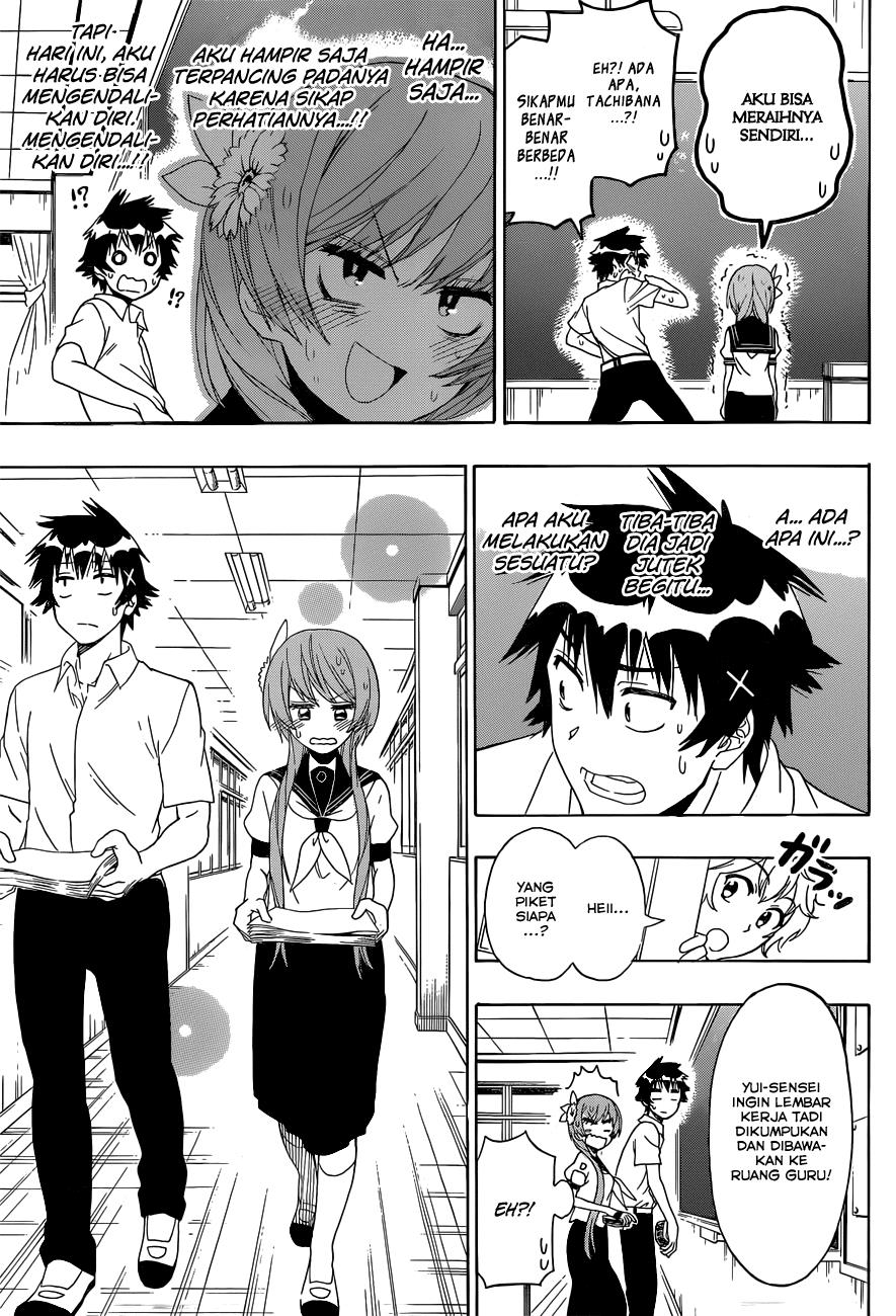 Nisekoi Chapter 129