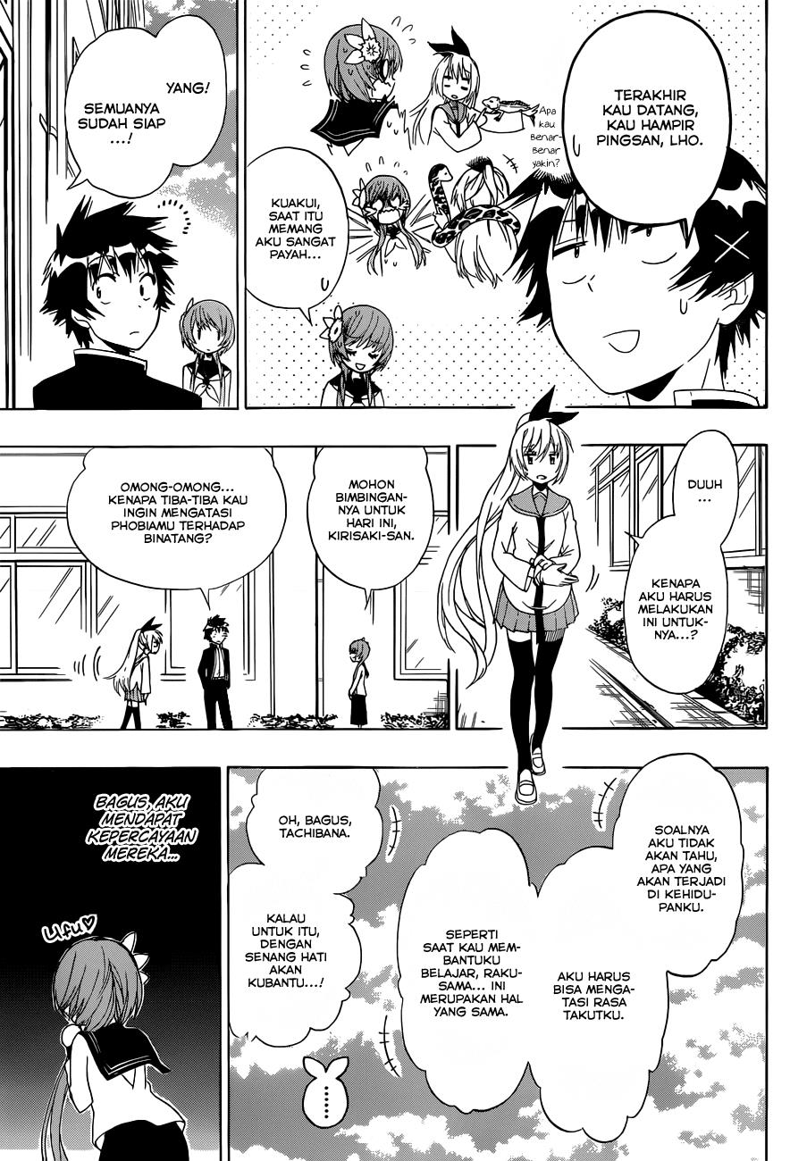 Nisekoi Chapter 142