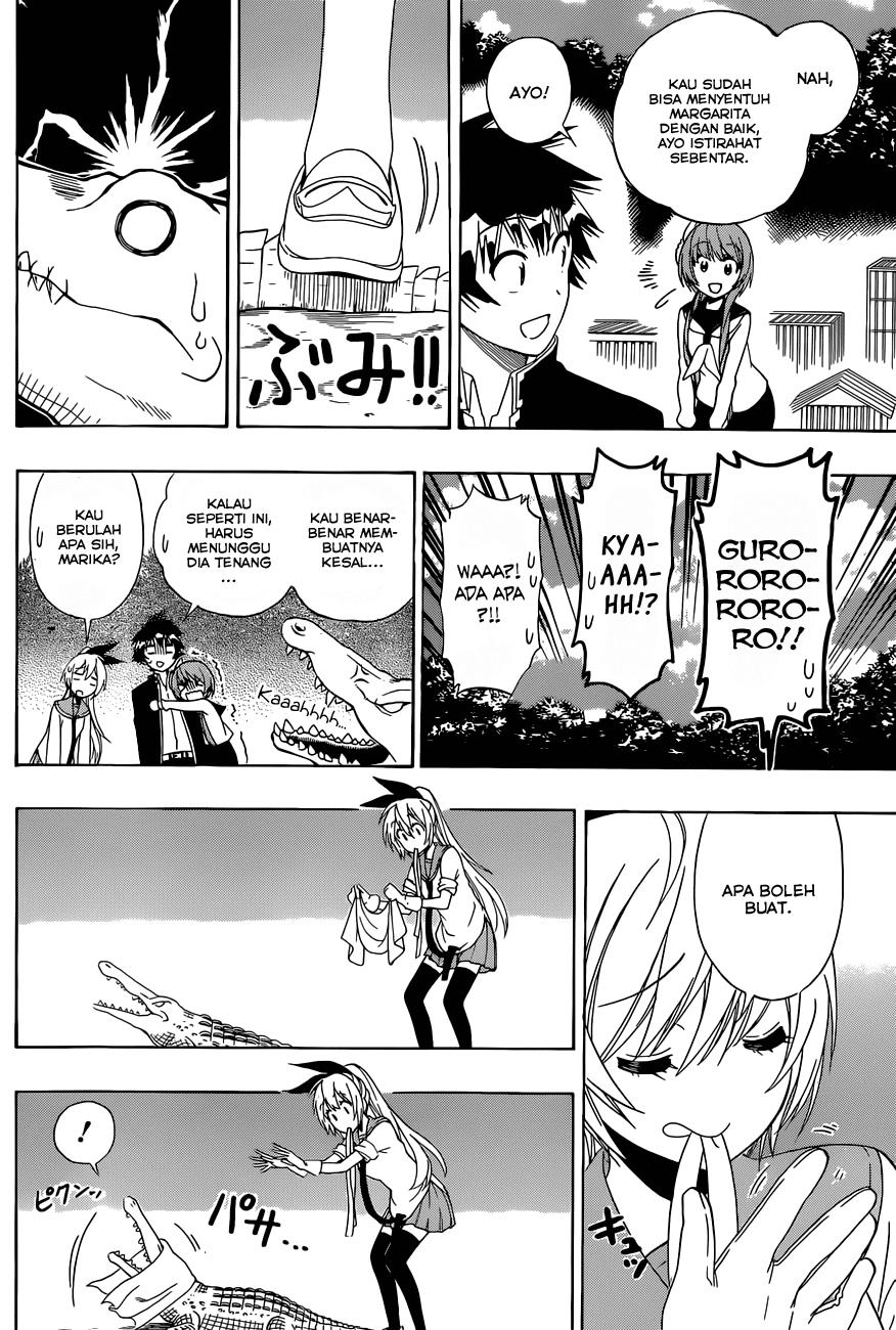 Nisekoi Chapter 142