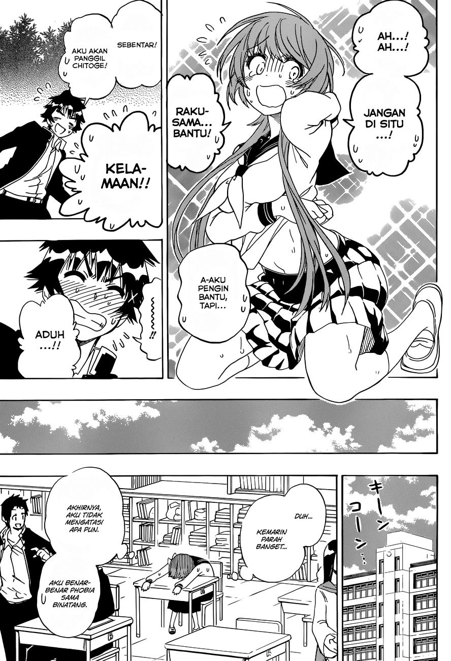 Nisekoi Chapter 142