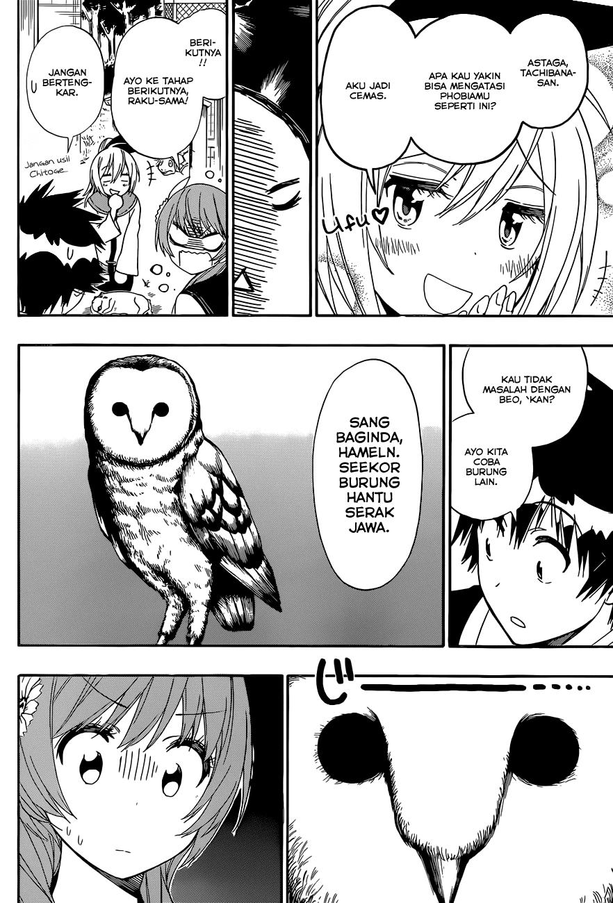 Nisekoi Chapter 142