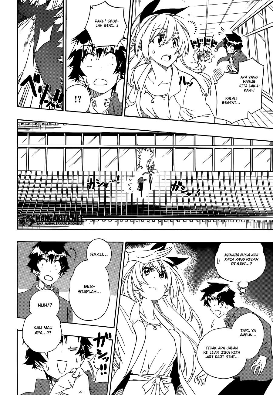 Nisekoi Chapter 186