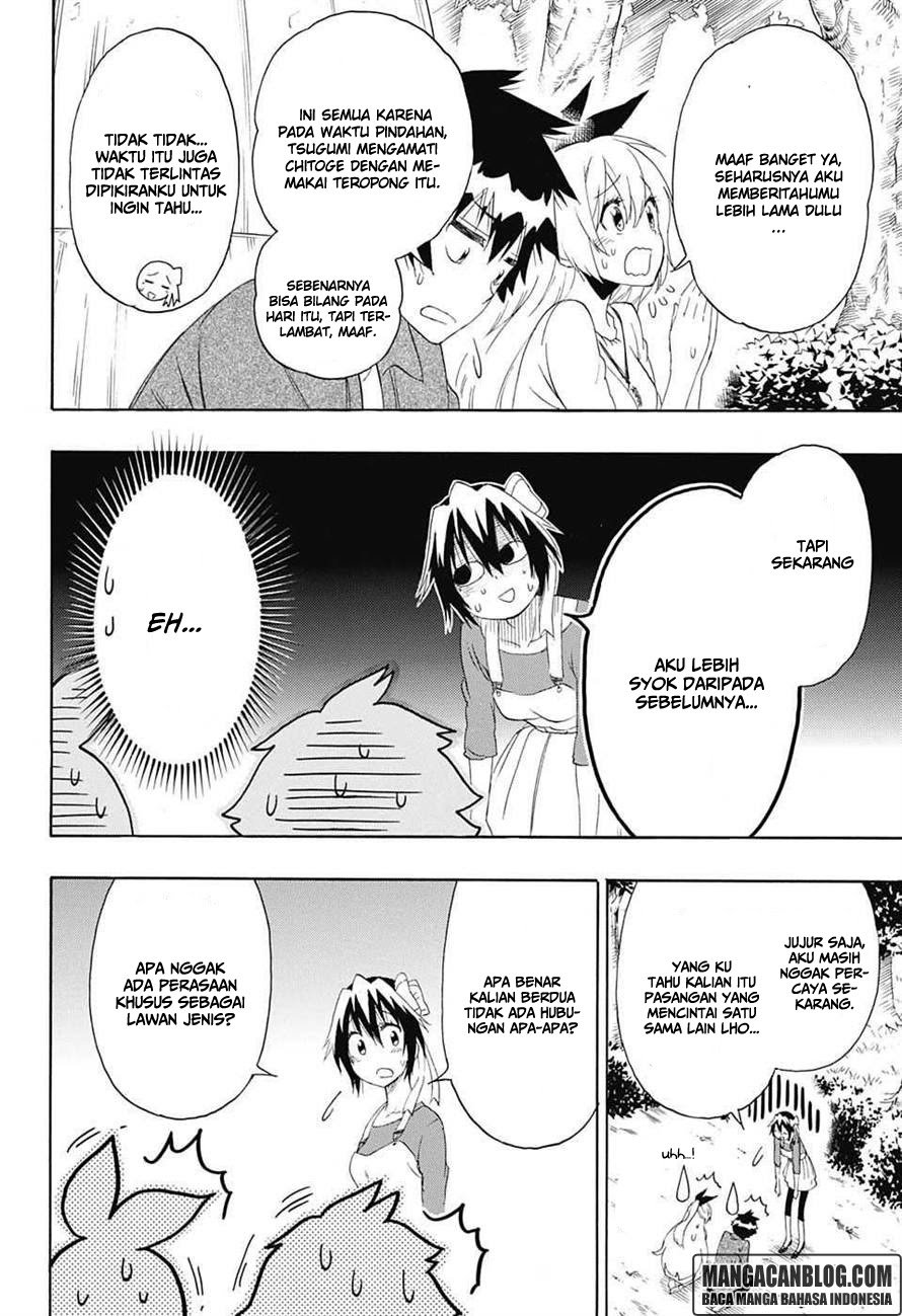 Nisekoi Chapter 204