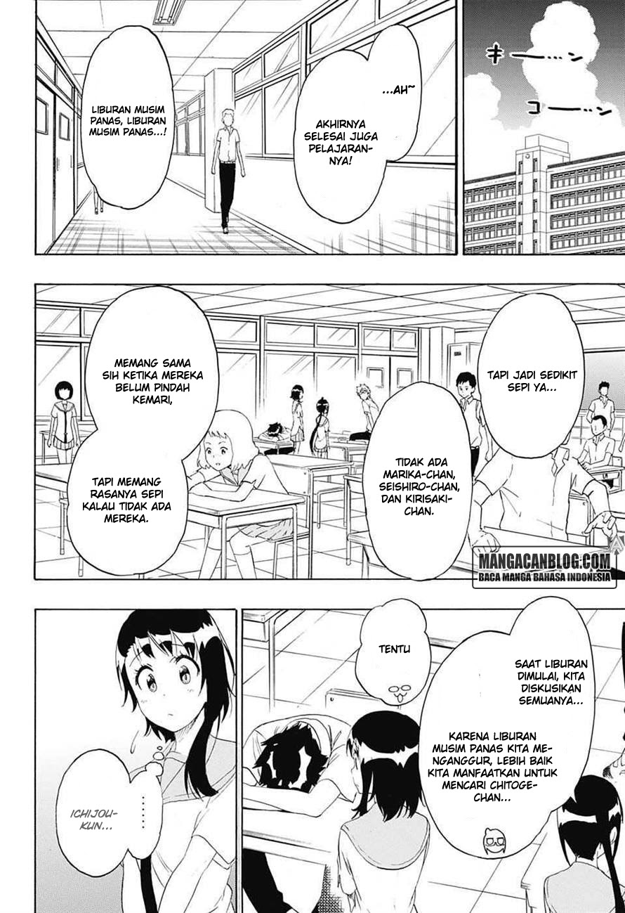 Nisekoi Chapter 213