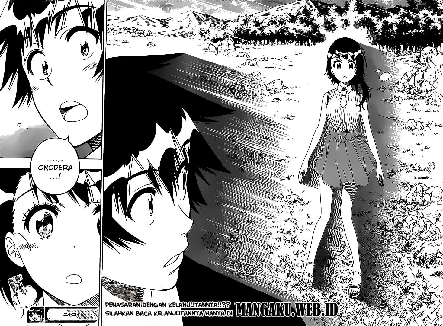 Nisekoi Chapter 224