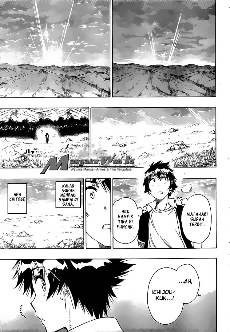 Nisekoi Chapter 224