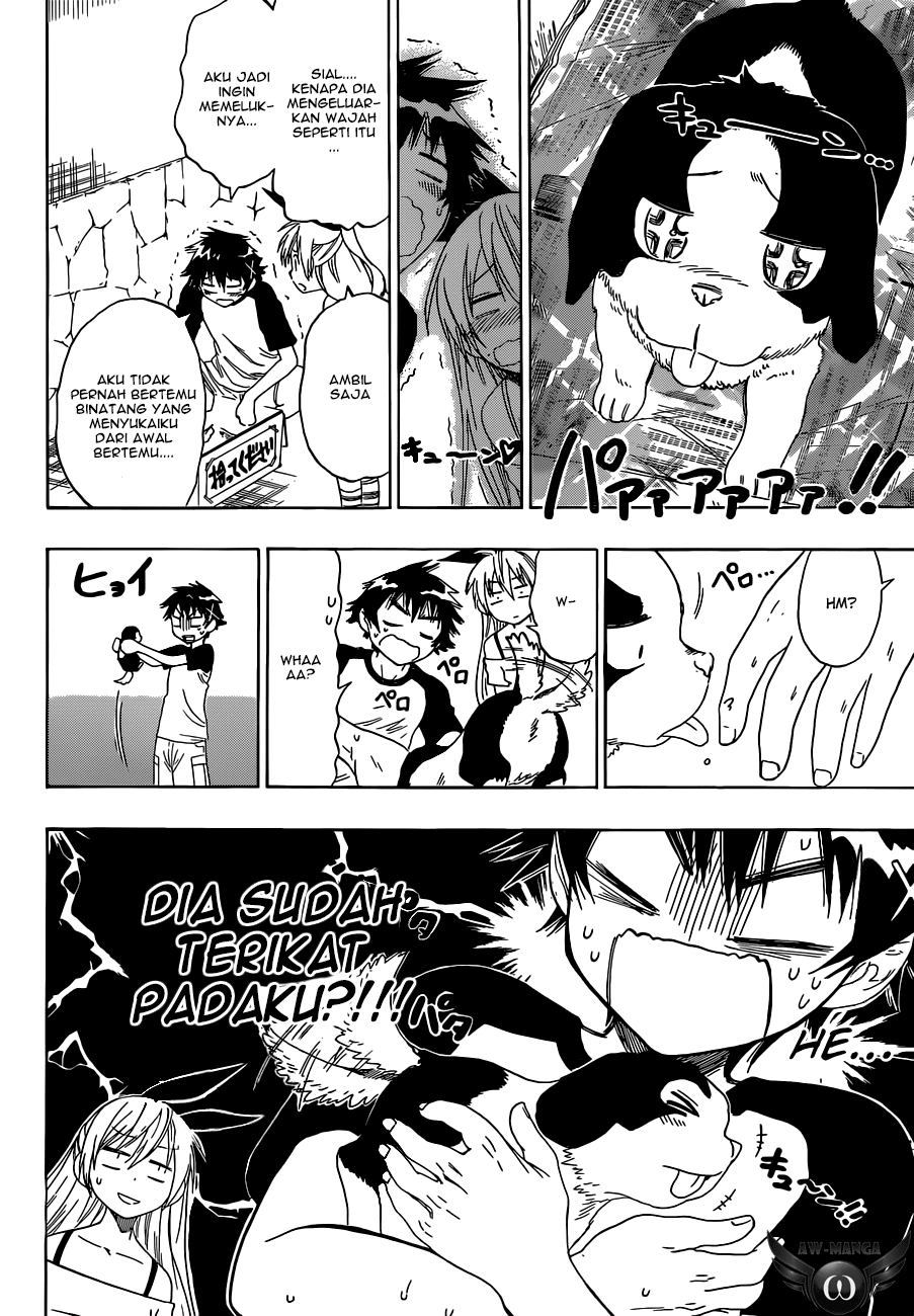 Nisekoi Chapter 41