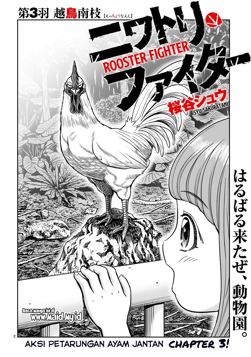 Rooster Fighter Chapter 3