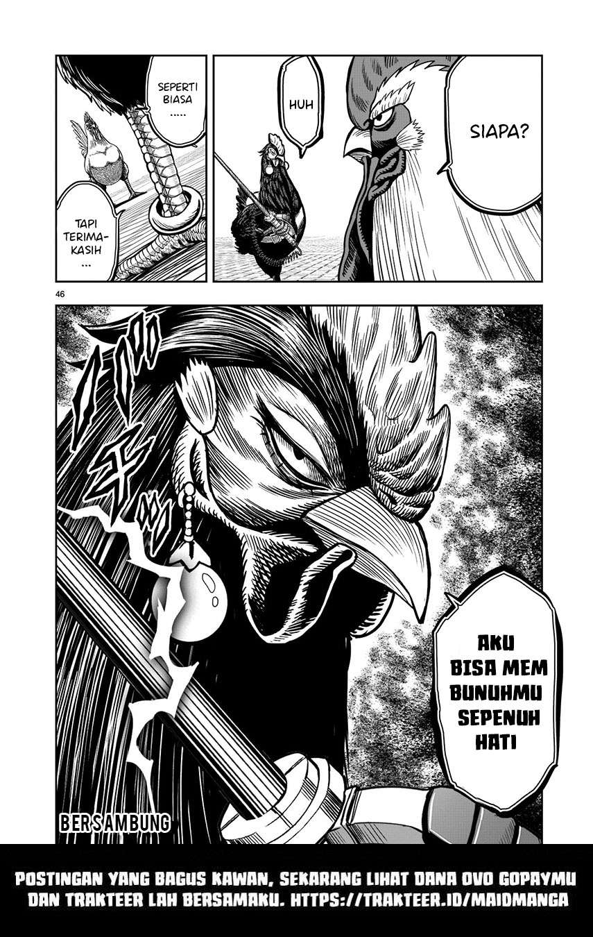 Rooster Fighter Chapter 6