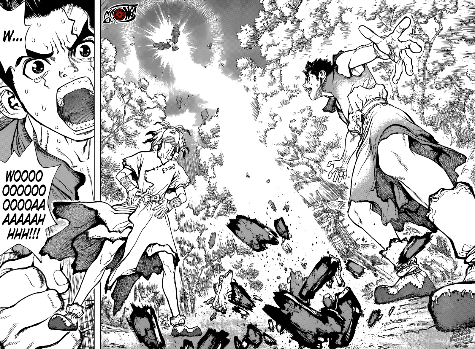 Dr. Stone Chapter 2