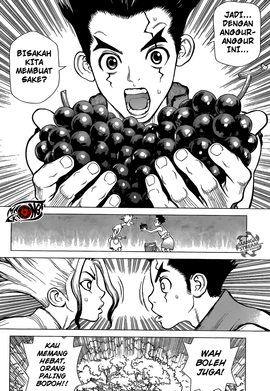 Dr. Stone Chapter 2