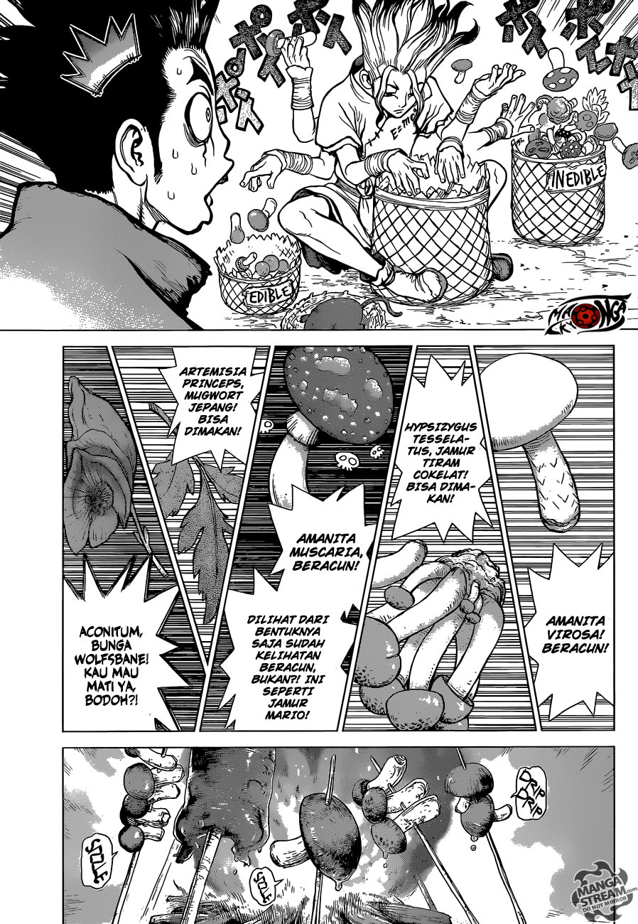 Dr. Stone Chapter 2