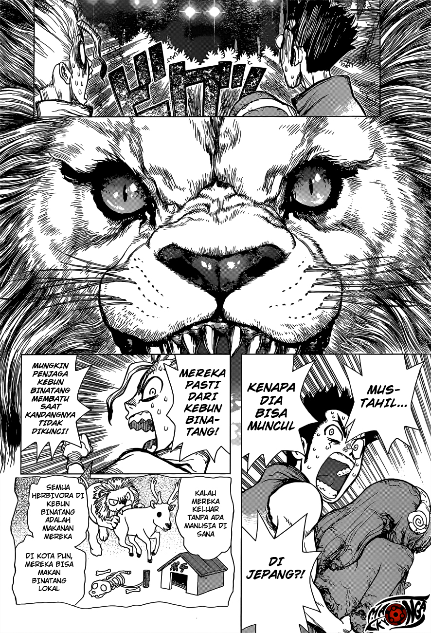 Dr. Stone Chapter 3