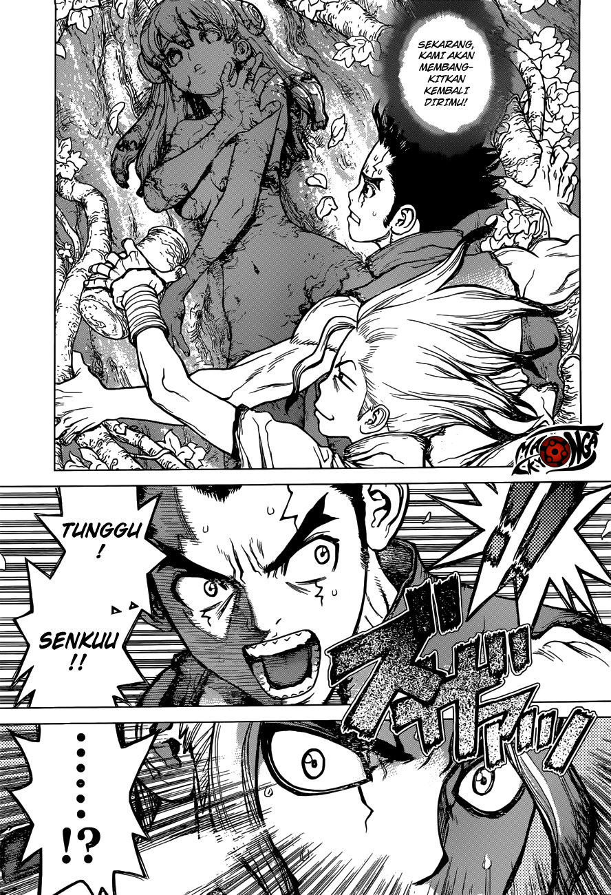 Dr. Stone Chapter 3