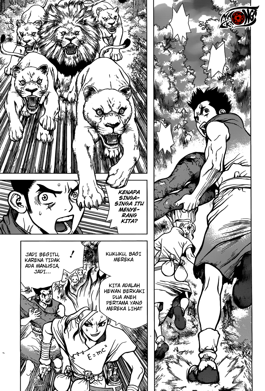 Dr. Stone Chapter 3