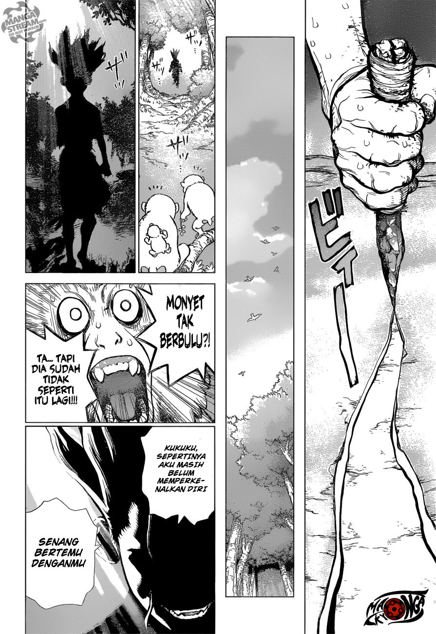 Dr. Stone Chapter 13