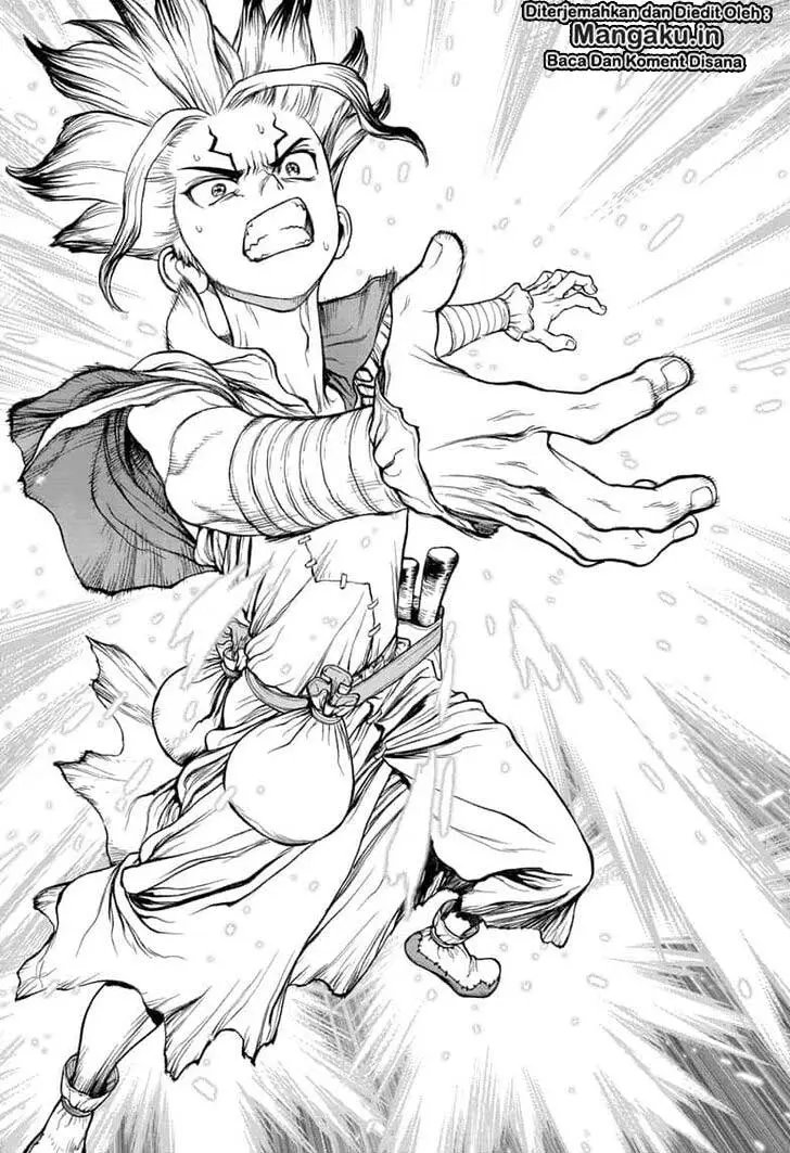 Dr. Stone Chapter 135