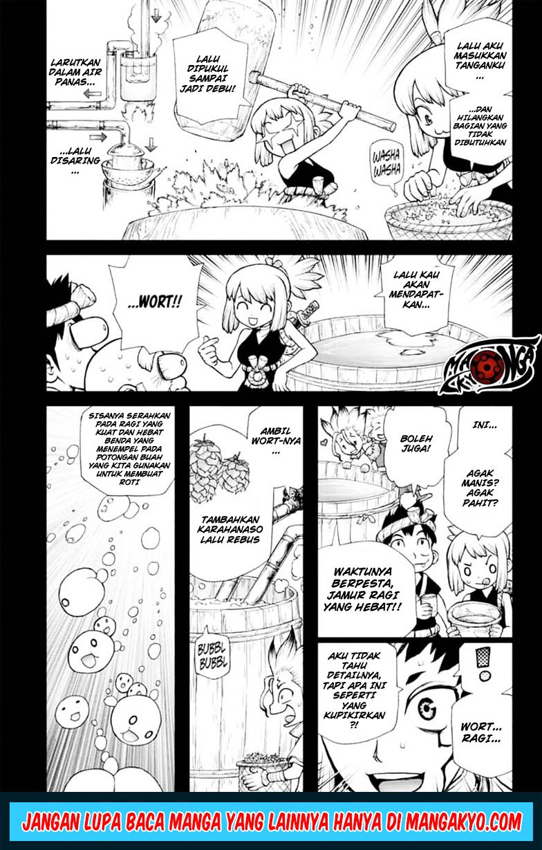 Dr. Stone Chapter 146