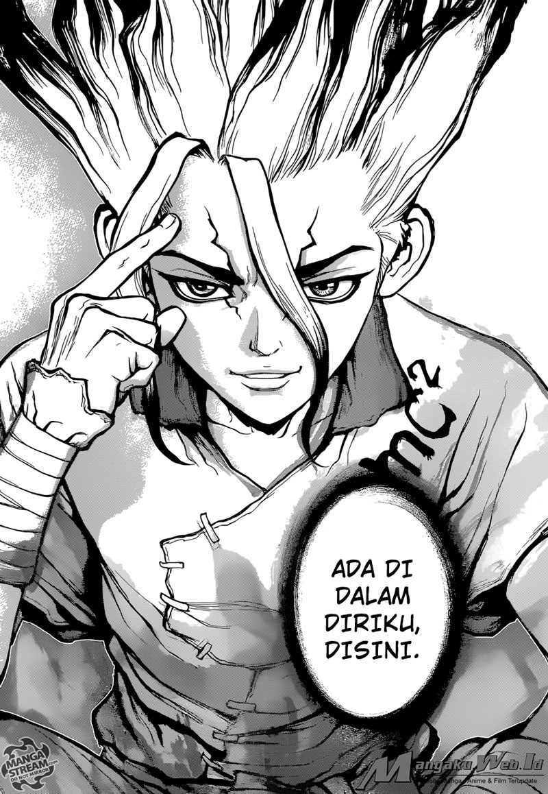 Dr. Stone Chapter 19