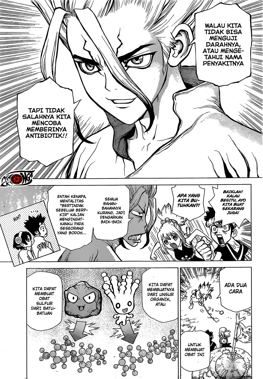 Dr. Stone Chapter 20