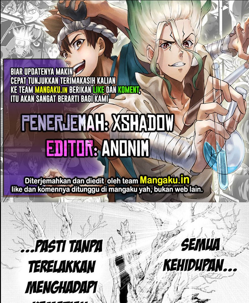 Dr. Stone Chapter 230