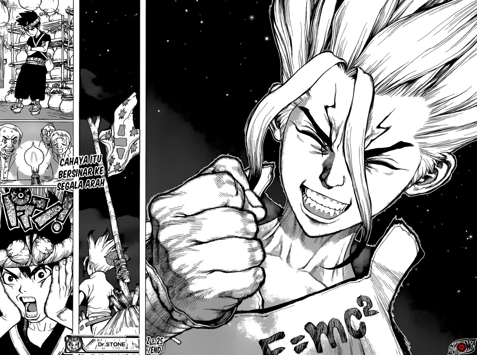 Dr. Stone Chapter 25