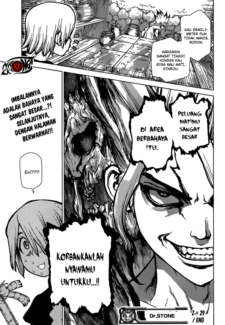 Dr. Stone Chapter 29