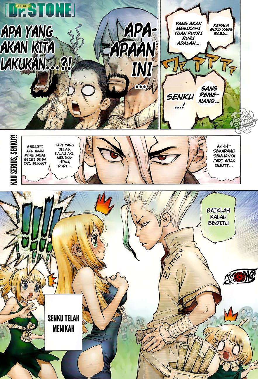 Dr. Stone Chapter 40