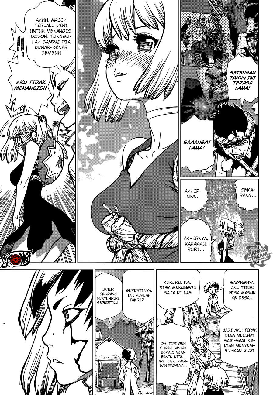 Dr. Stone Chapter 40