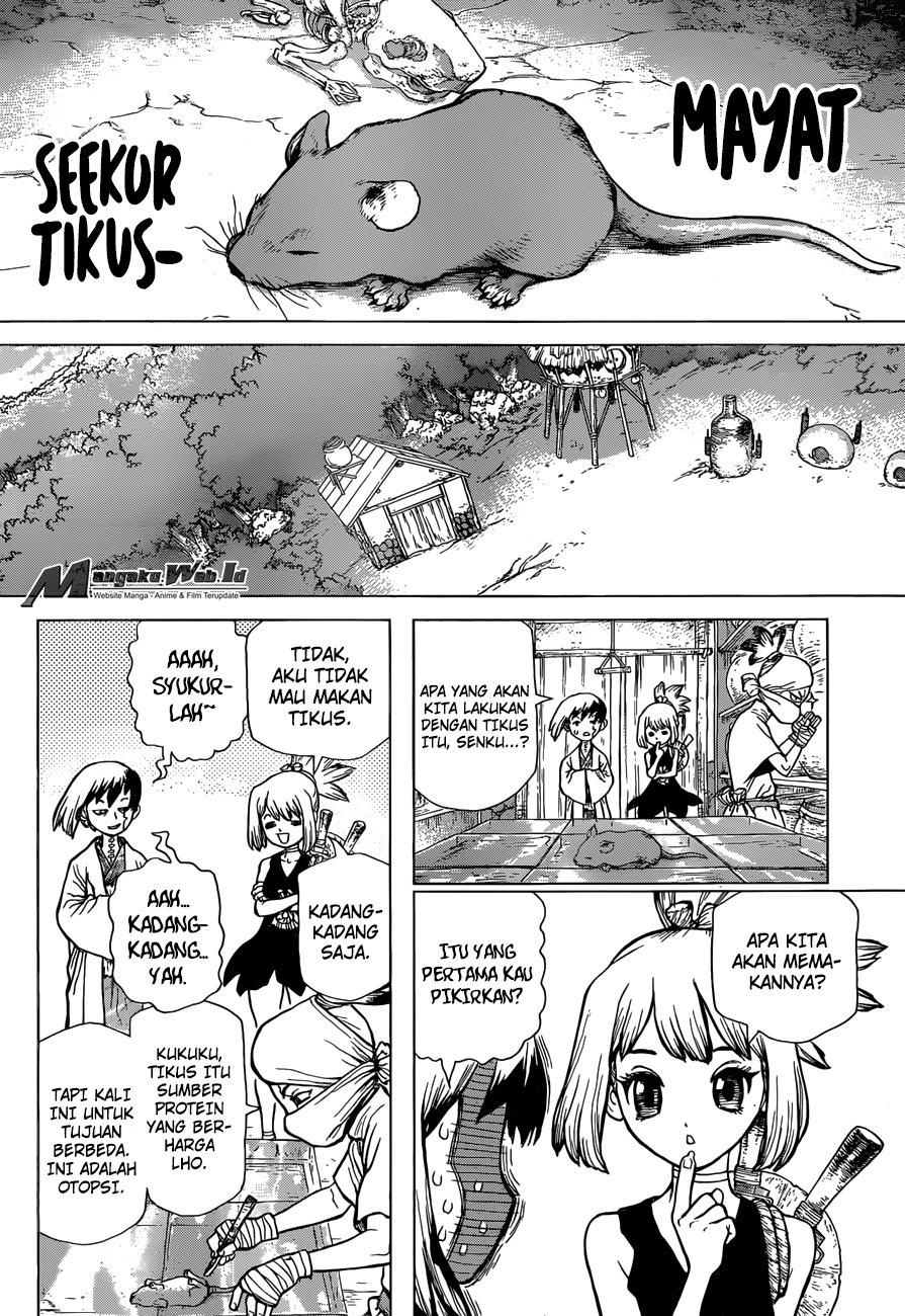 Dr. Stone Chapter 41