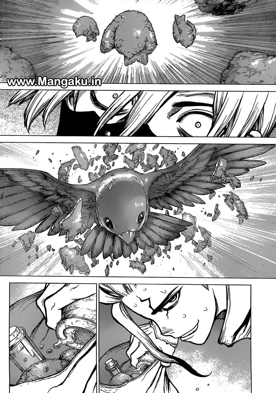 Dr. Stone Chapter 80