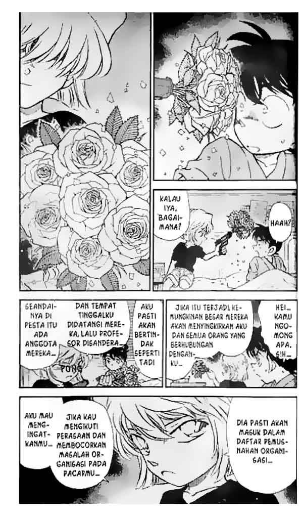 Detective Conan Chapter 255