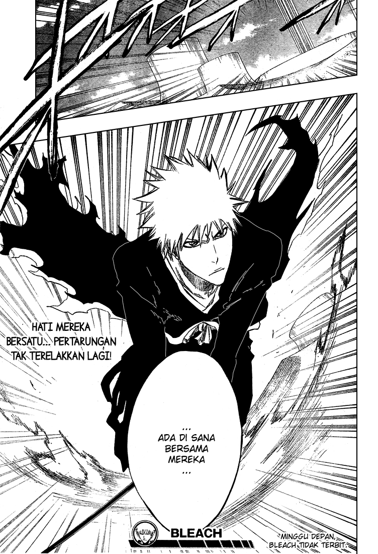 Bleach Chapter 316