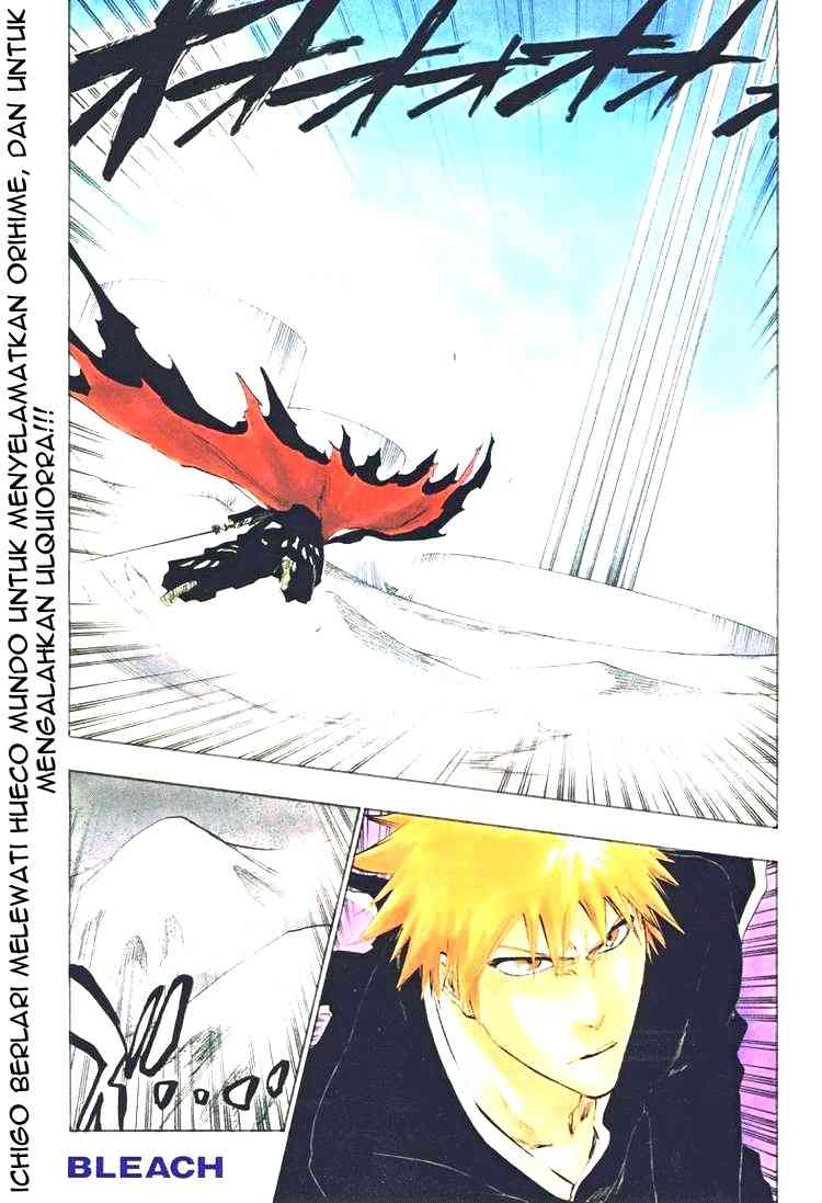 Bleach Chapter 317