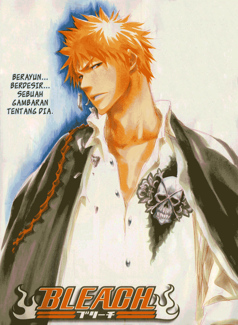 Bleach Chapter 323